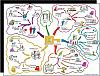     

:	Mind-map.jpg‏
:	3072
:	98.7 
:	17602