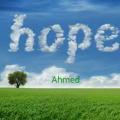   Ahmed Abdulatif